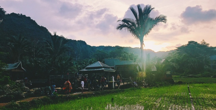 blog single post
