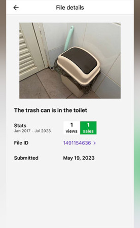 Sambil Boker Juga Bisa Hasilkan Duit di Microstock