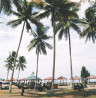 Pantai Kalomang, Objek Wisata Pantai Terkenal di Kolaka